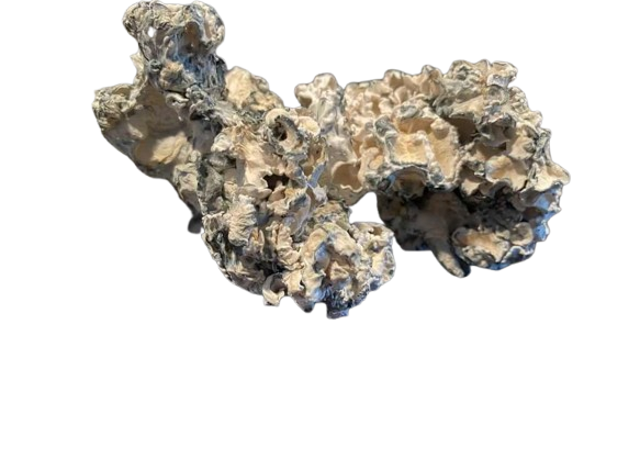 Buy Enigma Dried Mushroom Strain Online in US