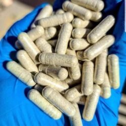 Buy mushroom Microdos capsules