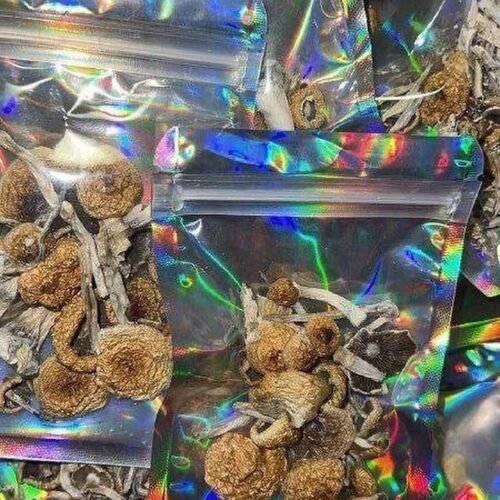 Buy liberty caps mushroom - Image 2