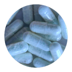 Buy Blue Dolphin MDMA Capsules in the US