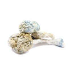 Alien Bubbles Magic Mushrooms